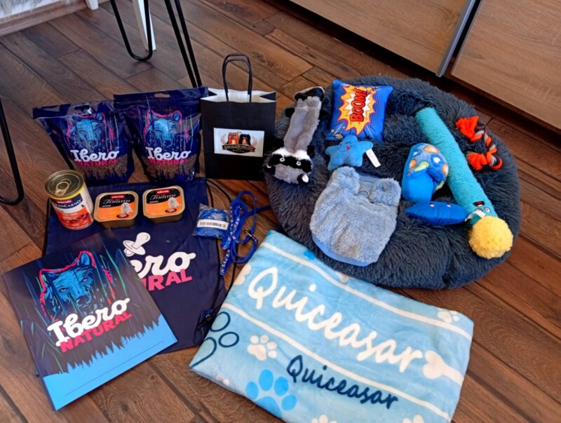 249a2125-15f2-4107-b2bf-2859e223b108