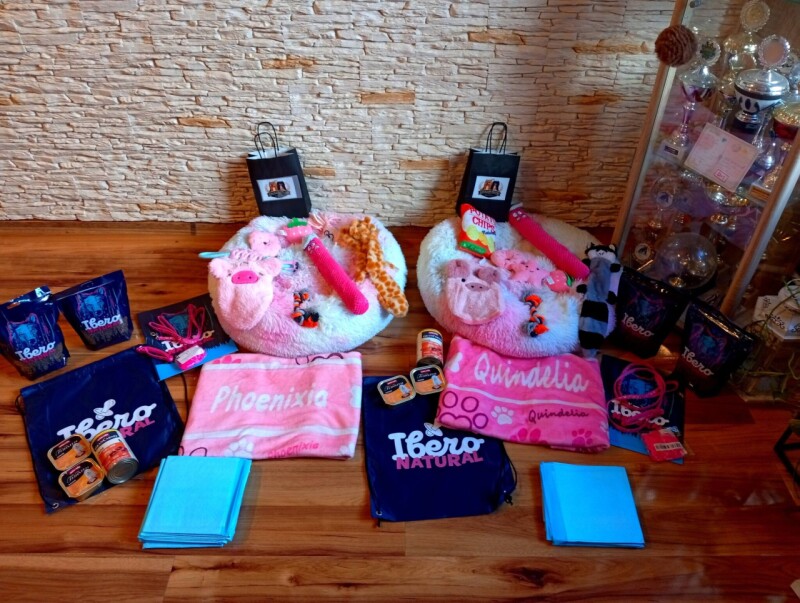 641244968_4289416237982601_6789569396477253479_n