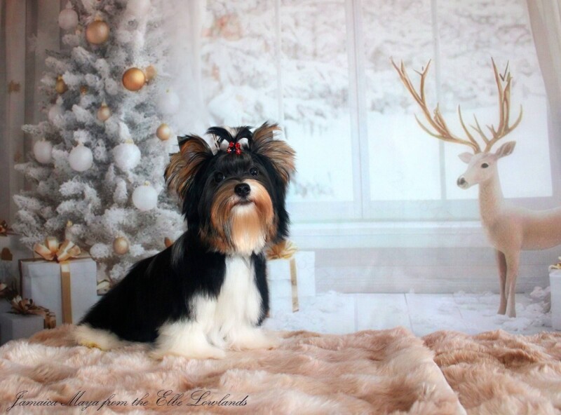 604666772_4230329543891271_5708475810739365289_n