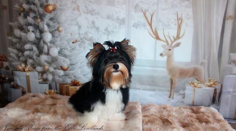 605242182_4230329497224609_8313109694704400907_n