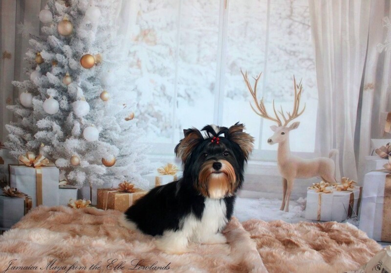 608539411_4230329453891280_7651274610540198552_n