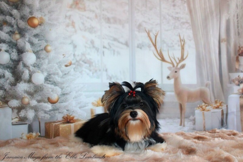 605532129_4230329327224626_2222266776729387437_n