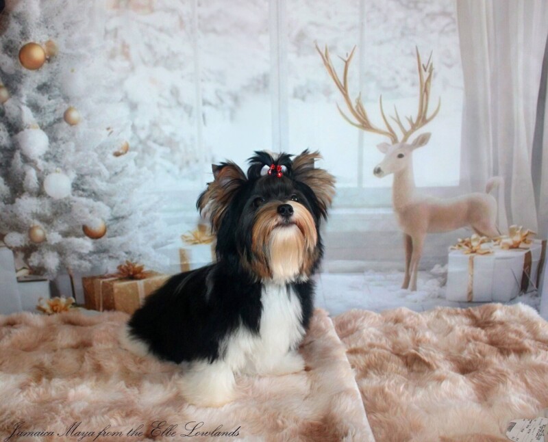 605245305_4230329190557973_1065425704873334982_n