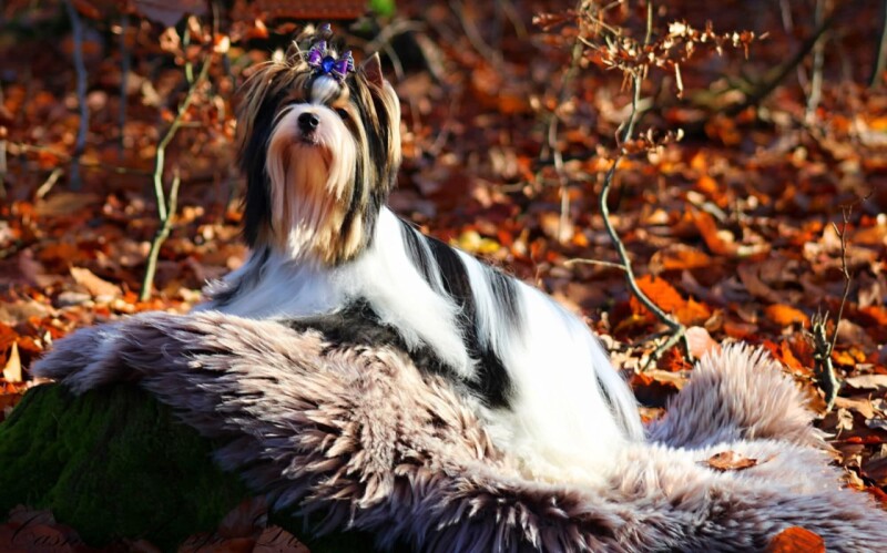 594db052-faa5-488d-91fd-2486d176fae7