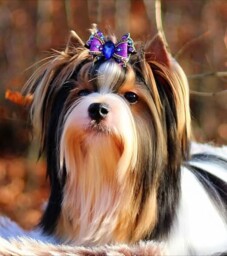 4ffa60b1-13e1-44f1-bc4e-61fd86b4276b