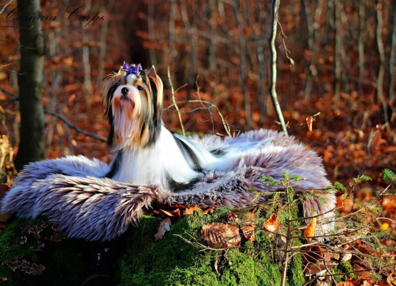 157a3467-ca95-4dee-9630-c6fba18348ae