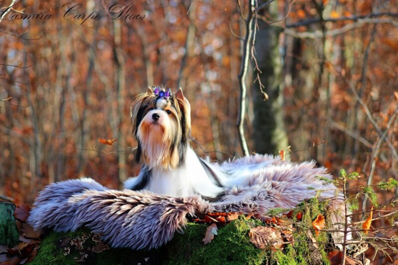 f1476693-f01e-41ad-966a-542680f4f2d5