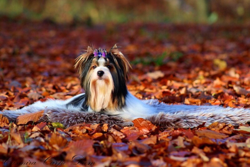 d6261699-9f43-48fa-b051-4a3d96a85b14