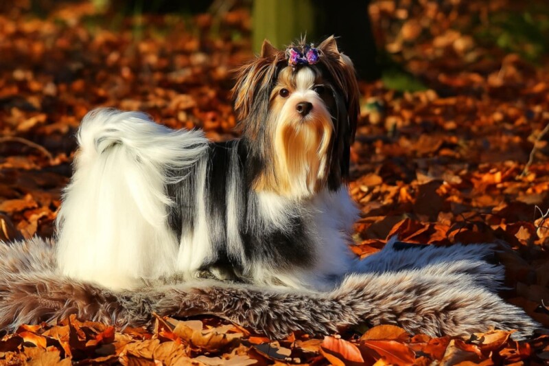 7b7778e1-99af-42e0-8e9d-d9481c010fcf