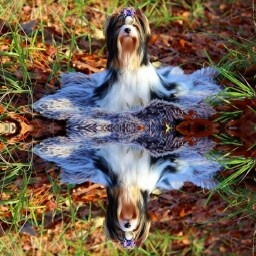 41888f8f-b5e3-47c3-aa2b-2e5cdd44be72