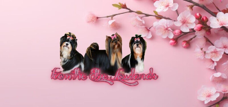 503373321_4014729628784598_2964471715343538877_n1763927573