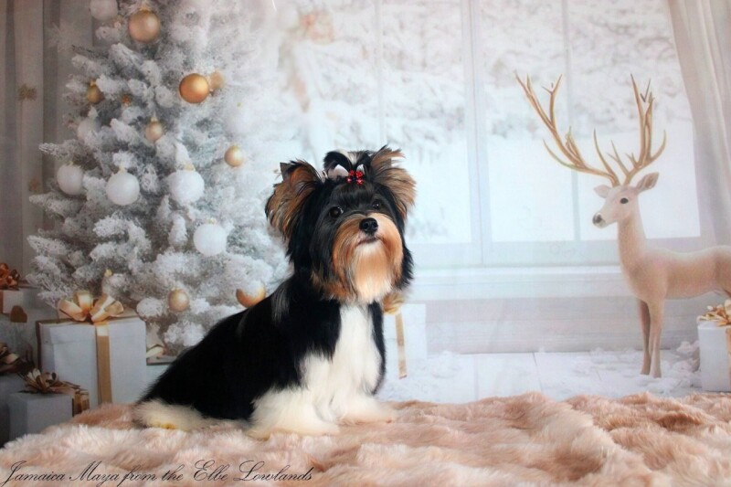 603850548_4230329380557954_2442539619459168342_n1767704709