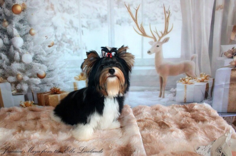 608157438_4230329253891300_6774848701904760409_n