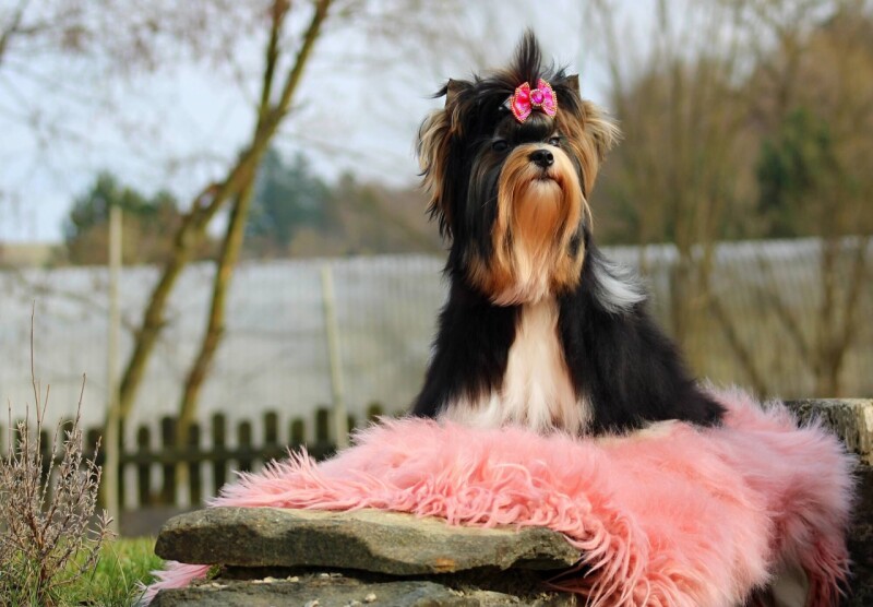 656011060_4316278661963025_2796526889976176830_n