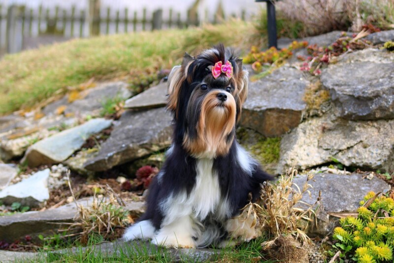 657800344_4316278605296364_5955579586056012083_n