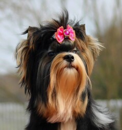 655937815_4316278575296367_2873290627843749439_n