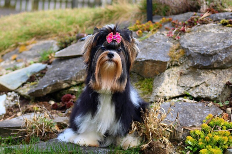 658995179_4316278428629715_6385653339219510980_n