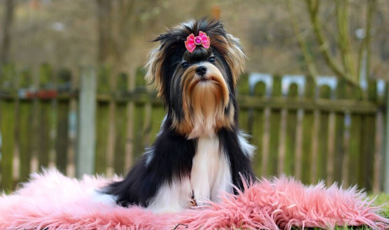 656720043_4316278945296330_8275632113159682282_n