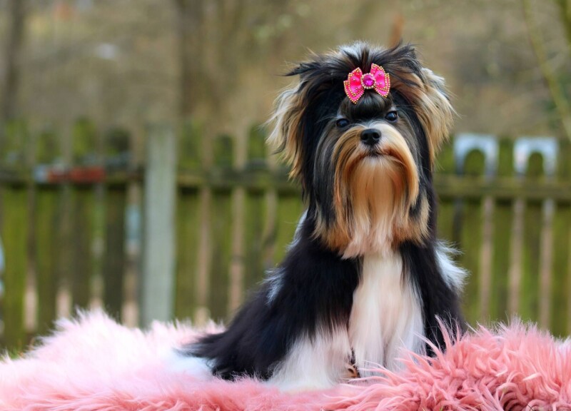 657215239_4316278885296336_5267104057660010073_n