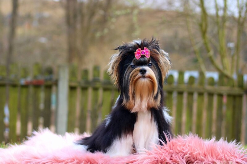 656722072_4316278825296342_410597916342335451_n