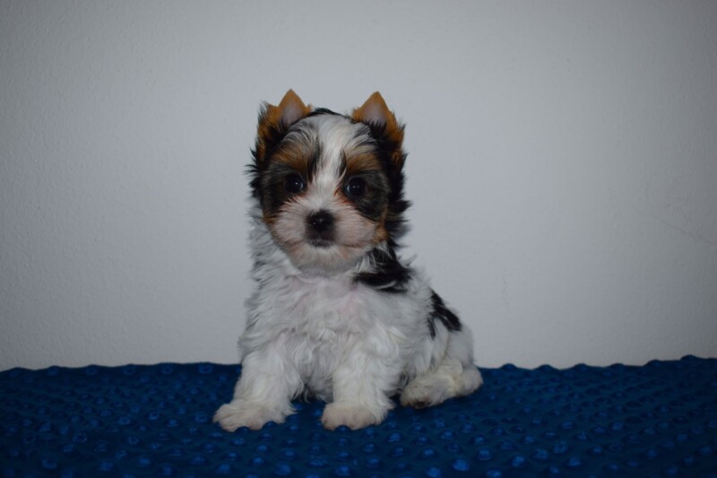 544614179_24629978243264966_4120499357834197970_n