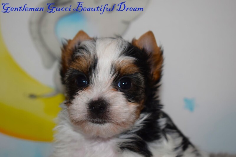 540767039_24567426089520182_962988322514390007_n