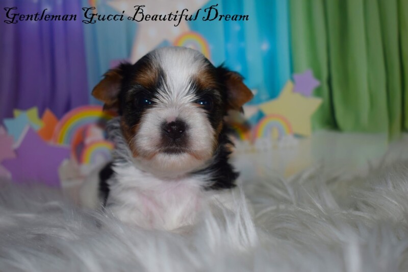 536485879_24454012770861515_4829725746249034816_n