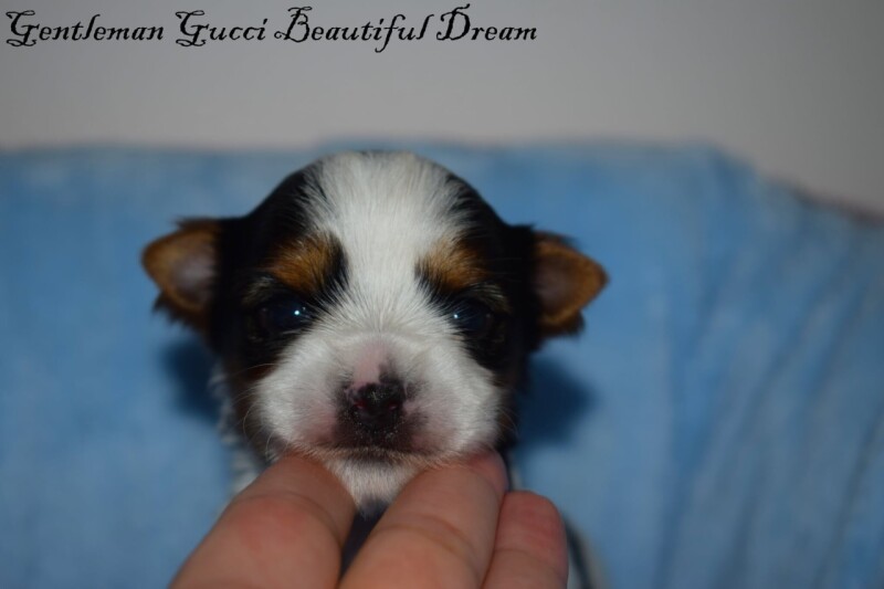 530607411_24395943136668479_5692982484043560396_n