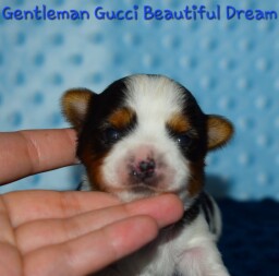 527904908_24336977909231669_3842607791328748494_n