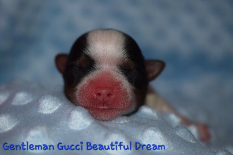 520397071_24231410003121794_5129898457740685804_n