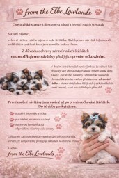 640938498_4285206221736936_585868617278424775_n