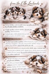 641489609_4286810758243149_734166749855747196_n