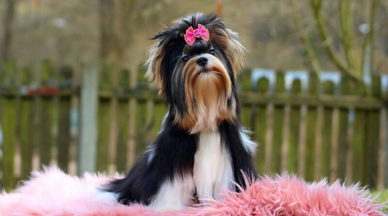 656096379_4316278995296325_1147844818258788434_n