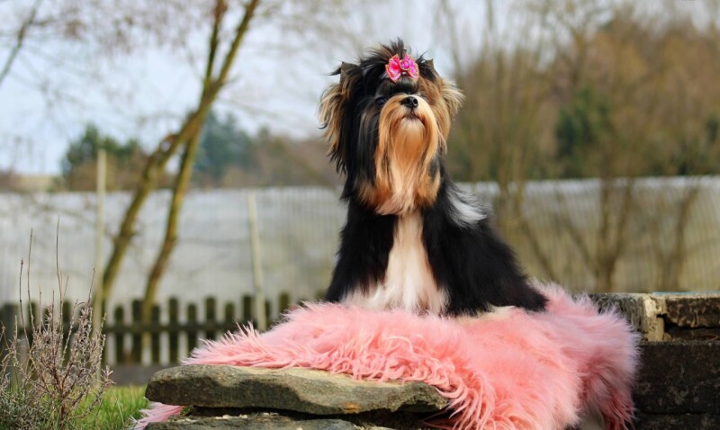 659149561_4316278765296348_7248421851196569743_n