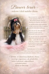 658873742_4319478218309736_4479689646680847795_n