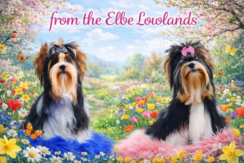 657287106_4316519998605558_3609341788714718568_n