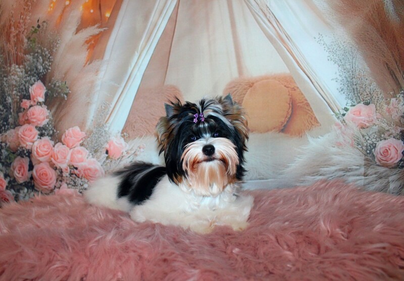 IMG_140kkkkkkkkkkkkkkkki